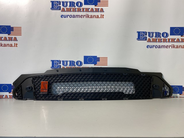 ford-mustang-shelby-grille-gt350r-1